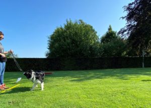 workshop-concept-trainen