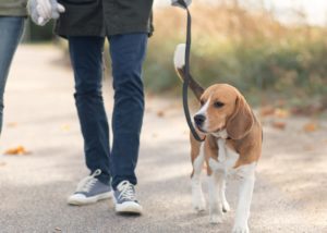 workshop-train-de-trainer