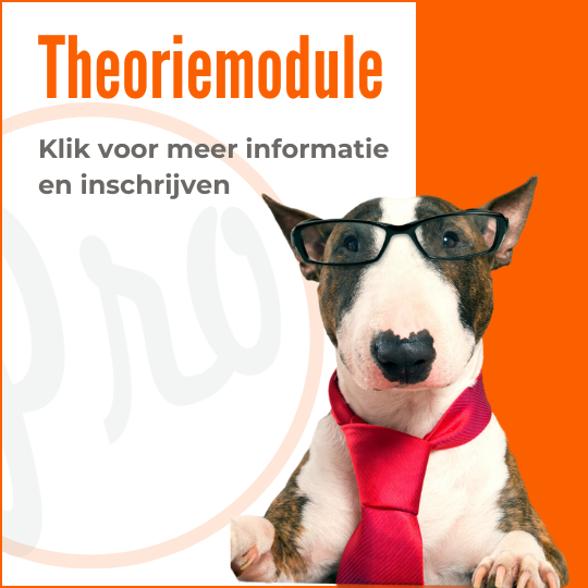 Klik voor meer informatie over de theoriemodule