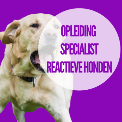 Klik voor meer informatie